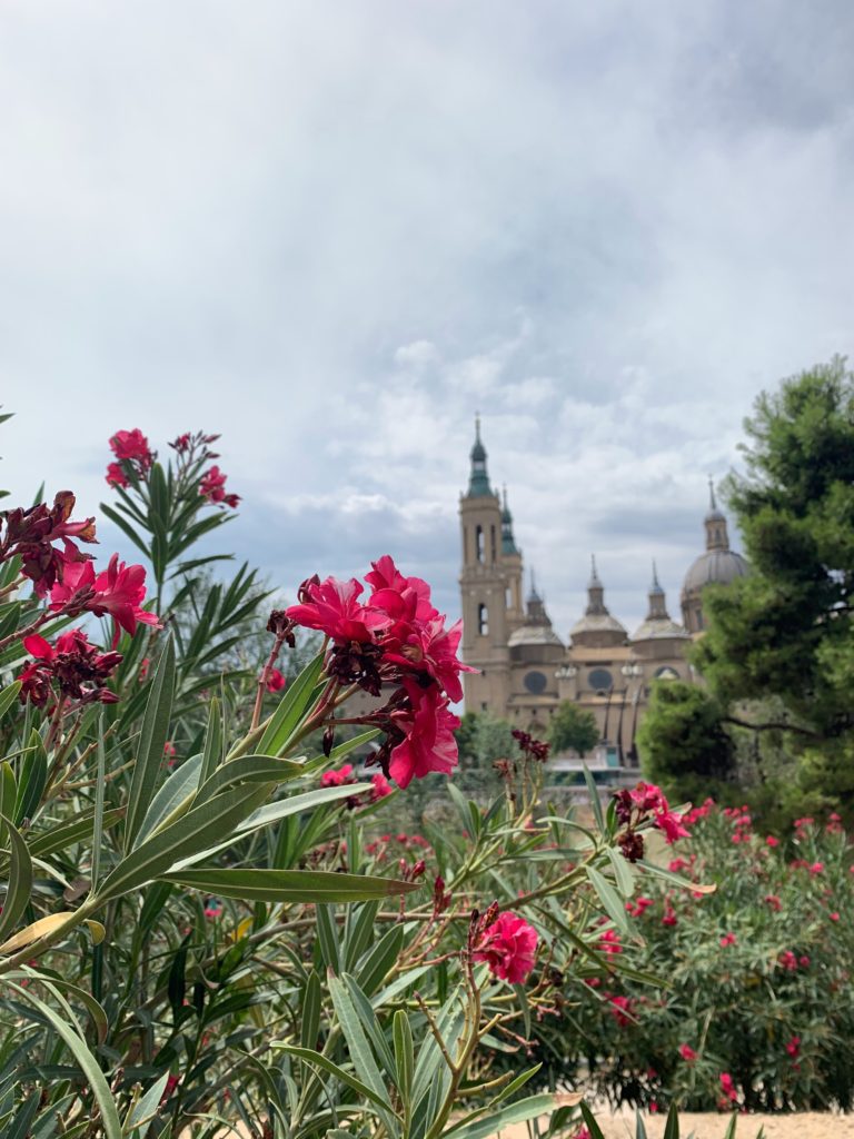 que ver en zaragoza en dos dias