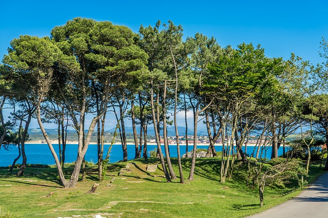 imprescindibles que ver en Santander en un dia